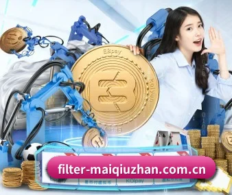 买球站 APP(maiqiuzhan)